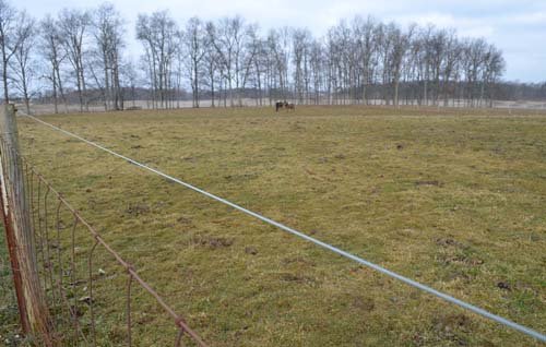 Property photo 20 - 98+/- Acres Offered in 6 Tracts or Combinations, Noble County, Indiana Farm